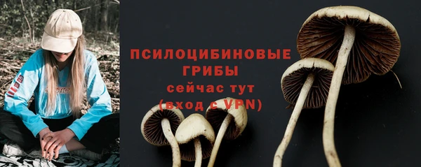 мдпв Богородск