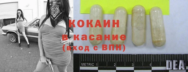 мдпв Богородск