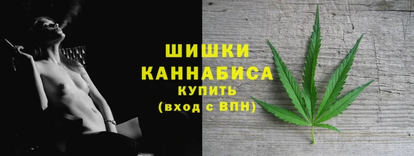дмт Богородицк