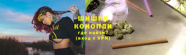 мдпв Богородск
