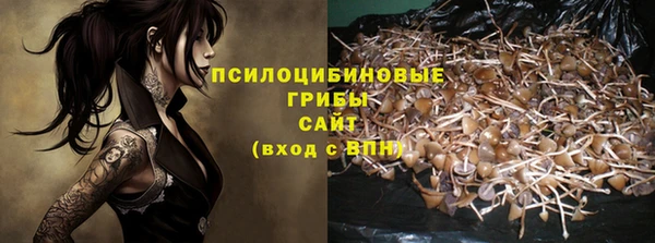 дмт Богородицк