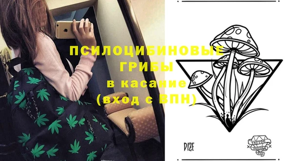 дмт Богородицк