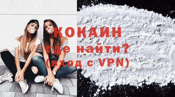 мдпв Богородск