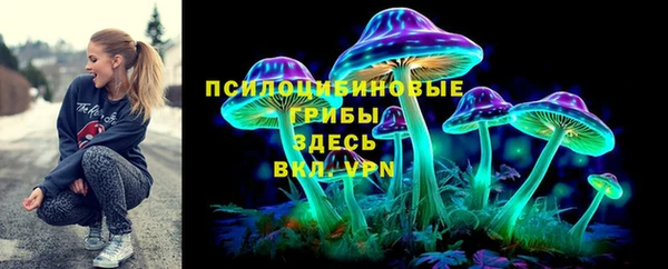 шишки Богданович
