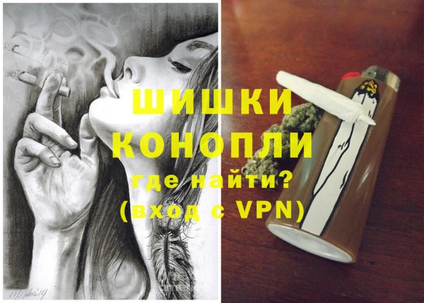 дмт Богородицк