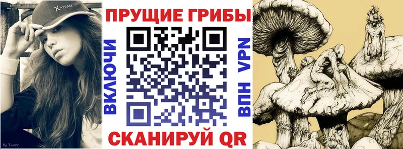 MEGA ONION  Шелехов  Псилоцибиновые грибы MAGIC MUSHROOMS 